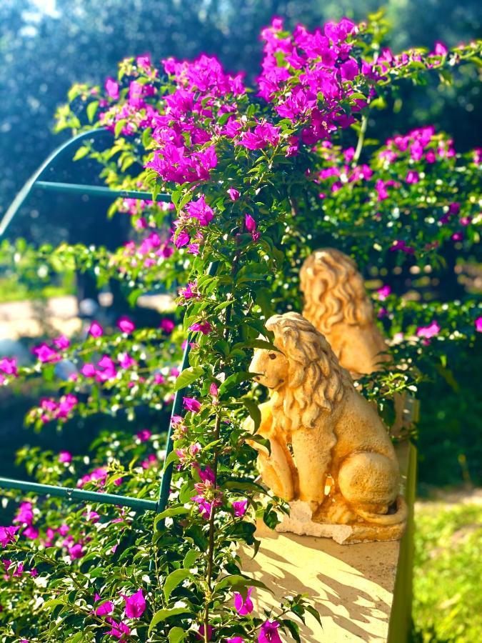 Armonia Corfu Luxury Apartment Liapades Eksteriør billede