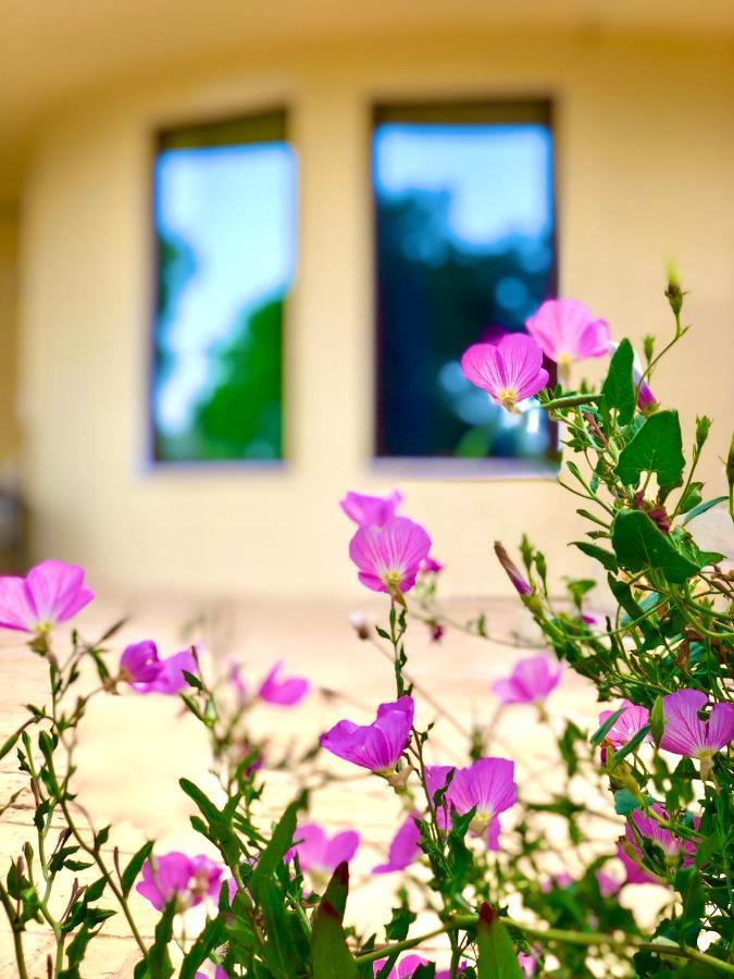 Armonia Corfu Luxury Apartment Liapades Eksteriør billede