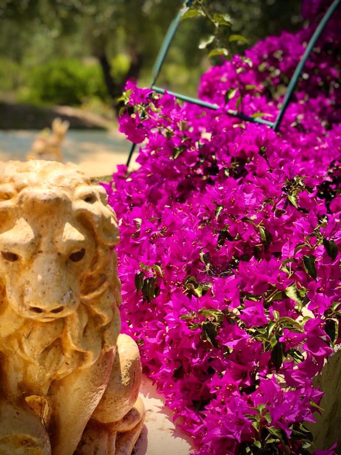 Armonia Corfu Luxury Apartment Liapades Eksteriør billede