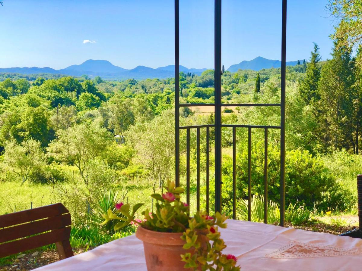 Armonia Corfu Luxury Apartment Liapades Eksteriør billede