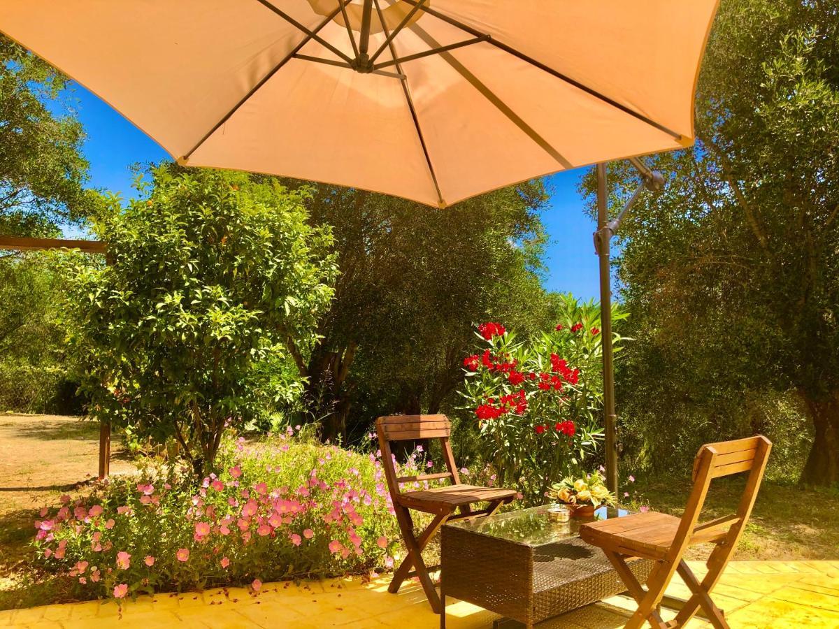 Armonia Corfu Luxury Apartment Liapades Eksteriør billede