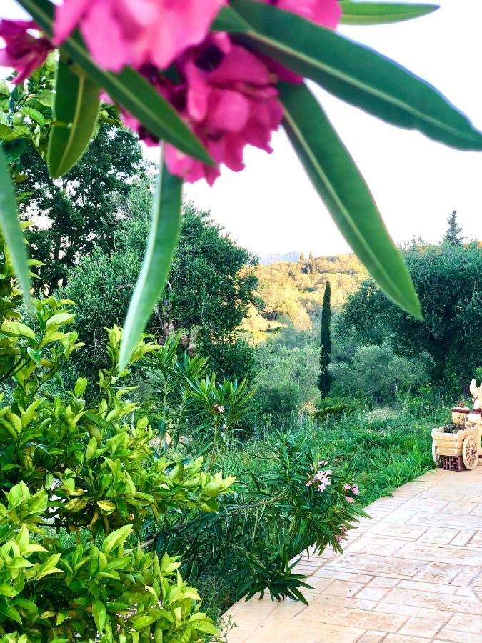 Armonia Corfu Luxury Apartment Liapades Eksteriør billede